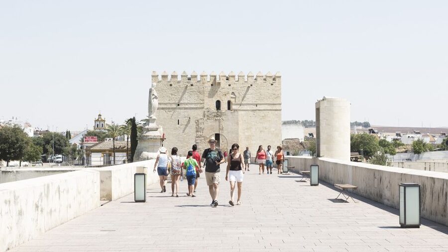 From Costa del Sol & Malaga: Cordoba Guided Day Tour - Roman Bridge panoramic tour, built for quick orientation