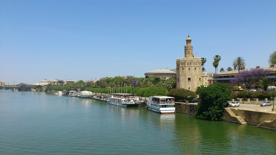 From Costa del Sol & Malaga: Seville Day Trip - Free time for lunch: where the smart choice happens