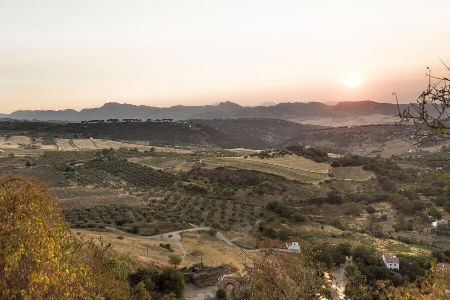 From Costa del Sol: Ronda Village Tour w/ Maestranza Ticket - Inside Real Maestranza: Culture, Museum Stops, and the Goyesca Link
