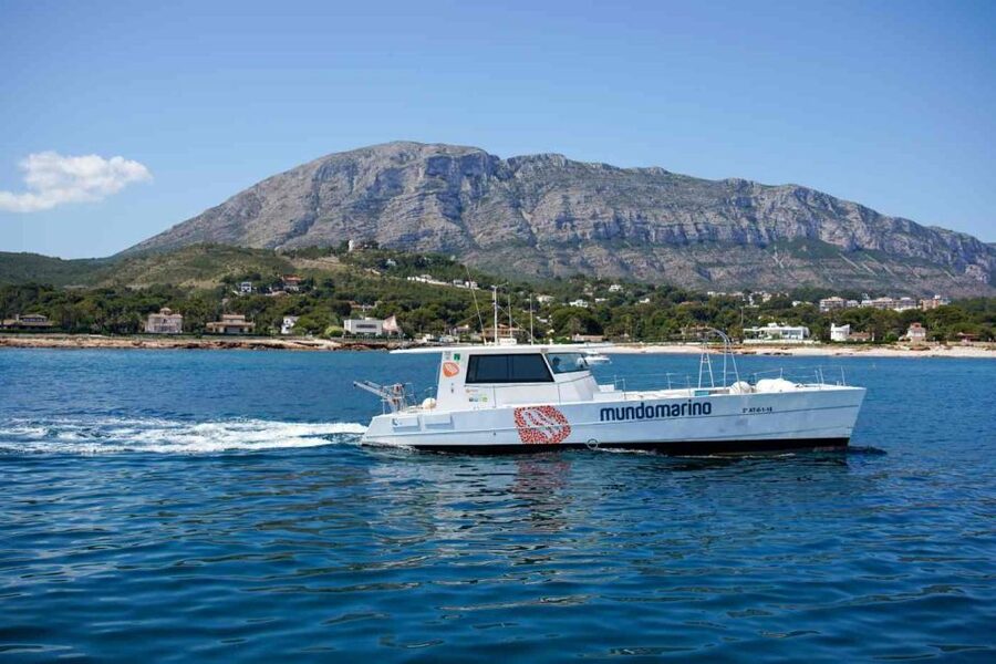 From Denia: Boat Trip to Tallada Cave with Optional Swim - Who Should Book This Dénia Boat Trip, And Who Might Prefer Something Else