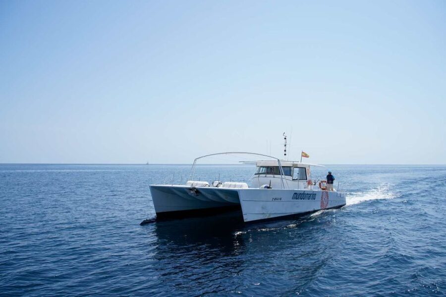 From Denia: Boat Trip to Tallada Cave with Optional Swim - Price And Value: Why About $14 Can Make Sense For This Time Window