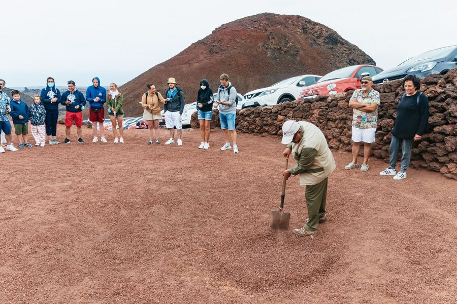 From Fuerteventura: Lanzarote Trip with Wine Tasting & Lunch - What $164 per person gets you, and why it can be good value