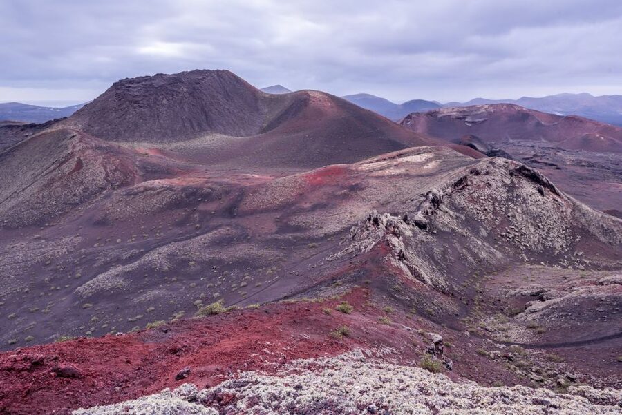 From Fuerteventura: Lanzarote Volcano and Wine Region Tour - How the day really moves, group size, languages, and what you can control