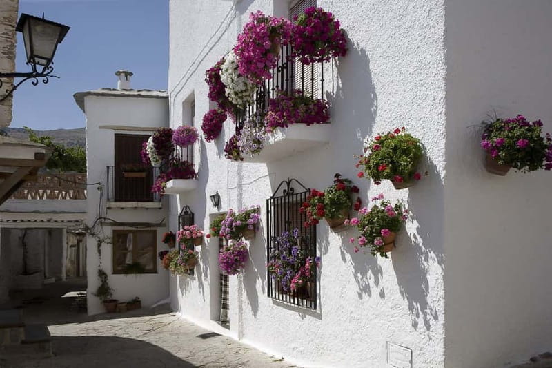 From Granada: Alpujarra Mountain Villages Tour - Why La Alpujarra Feels Like a Whole Other Spain