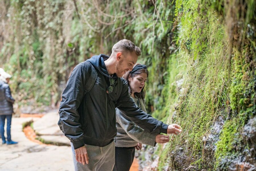 From Granada: Alpujarra Villages Guided Day Tour - Nasrid castle viewpoints and the Morisco story you can connect to the hills