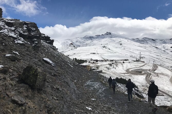From Granada: Sierra Nevada Safari tour up to 2500 meters high - Who This Tour Fits Best