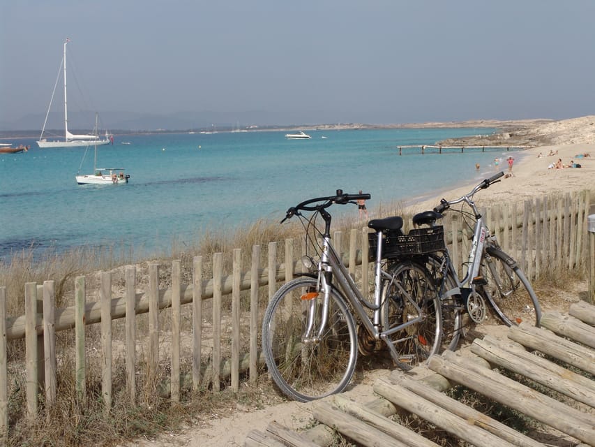 From Ibiza: Ferry and Guided Bus Excursion in Formentera - Group size, guide quality, and what it feels like in practice