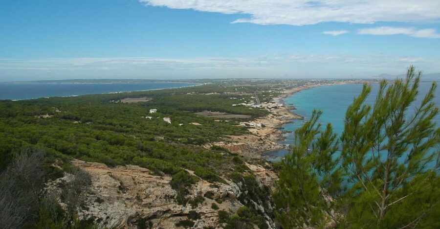 From Ibiza: Ferry and Guided Bus Excursion in Formentera - Price and what you get for $111