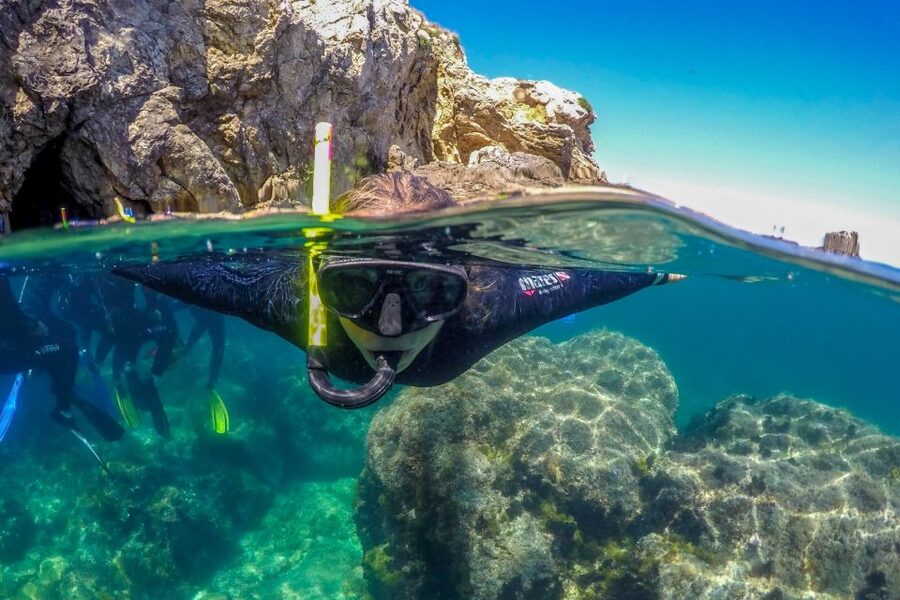 From L’Estartit: Snorkeling Trip to the Medes Islands - Should You Book This Medes Islands Snorkeling Trip?