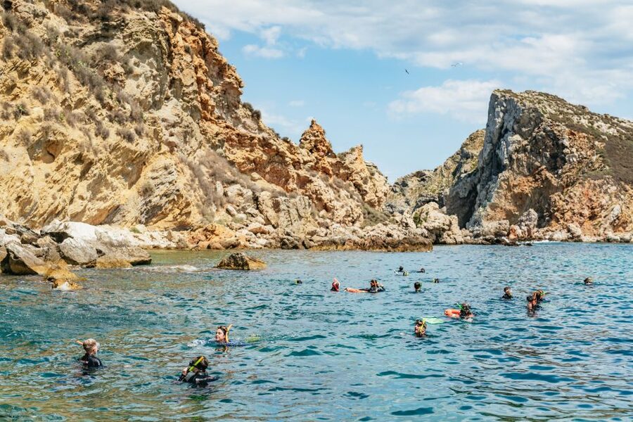 From L’Estartit: Snorkeling Trip to the Medes Islands - Price and Value: Why This Usually Feels Fair for 45 Dollars
