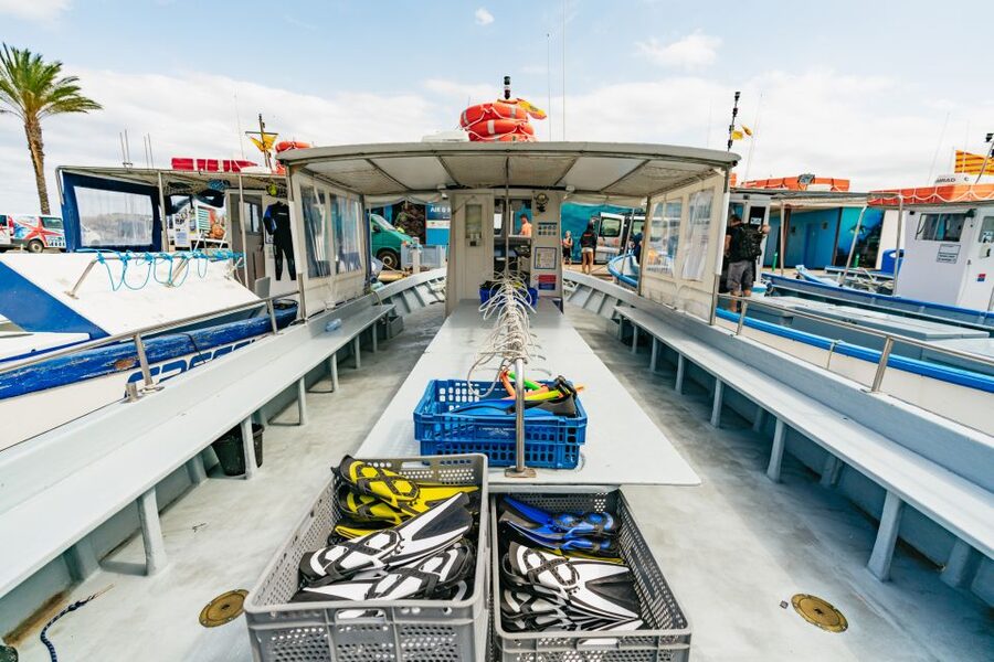 From L’Estartit: Snorkeling Trip to the Medes Islands - What the Guides Actually Do (And Why It Shows)