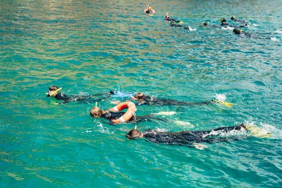 From L’Estartit: Snorkeling Trip to the Medes Islands - Why the Medes Islands Reserve Is Worth the Time