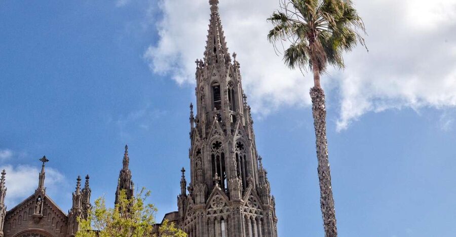 From Las Palmas: Full-Day Tour of the North - Banana Farm Stop, plus Why Gran Canaria Exports Matter