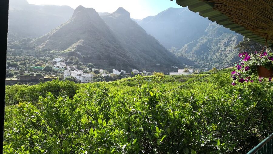 From Las Palmas: Full-Day Tour of the North - Puerto de las Nieves Viewpoints and Lunch Timing
