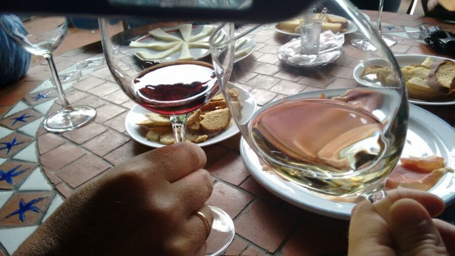 From Las Palmas: Full-Day Tour of the North - How the Guide’s English and Spanish Work in Real Life