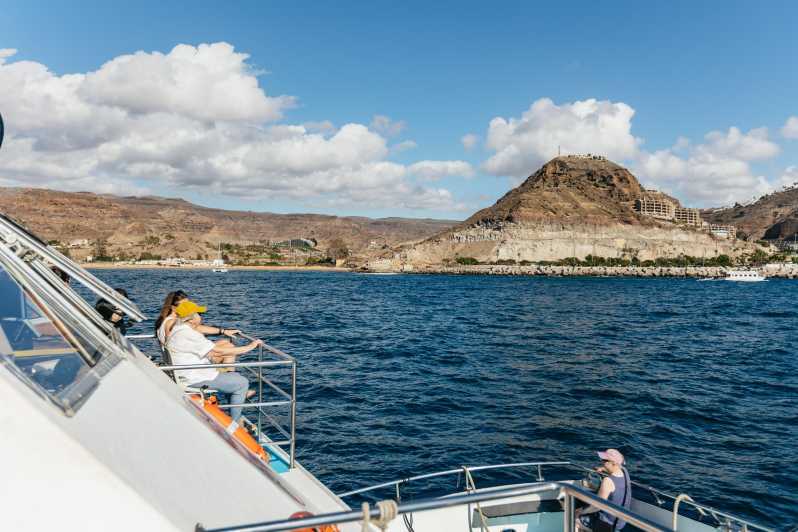 From Las Palmas: Highlights of Gran Canaria Day Tour - Why This South Gran Canaria Loop Works From Las Palmas