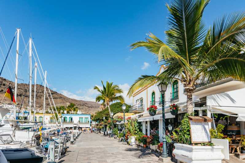 From Las Palmas: Highlights of Gran Canaria Day Tour - Puerto Rico Marina: Where the Optional Boat Trip Begins