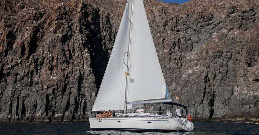 From Los Gigantes: Whale Watching Sailboat Cruise - Key things to know before you go