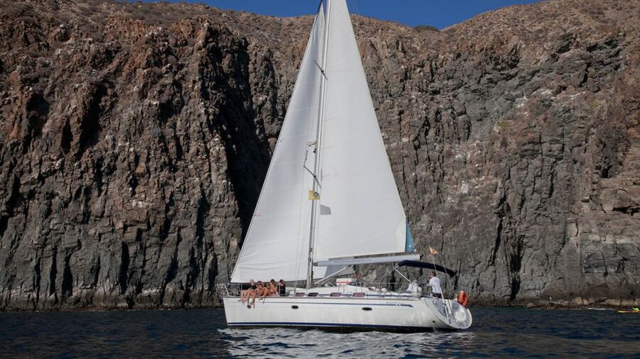 From Los Gigantes: Whale Watching Sailboat Cruise - Price and value: what you actually get for $88
