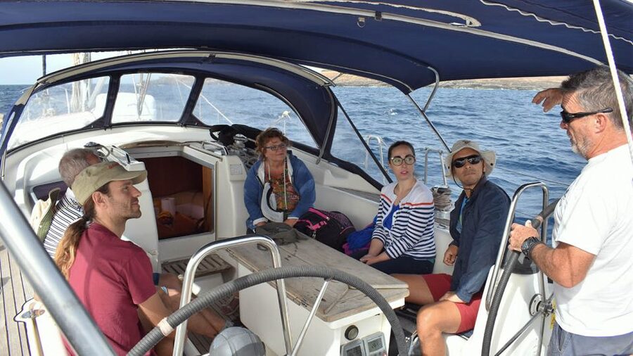 From Los Gigantes: Whale Watching Sailboat Cruise - What to bring, and what to double-check