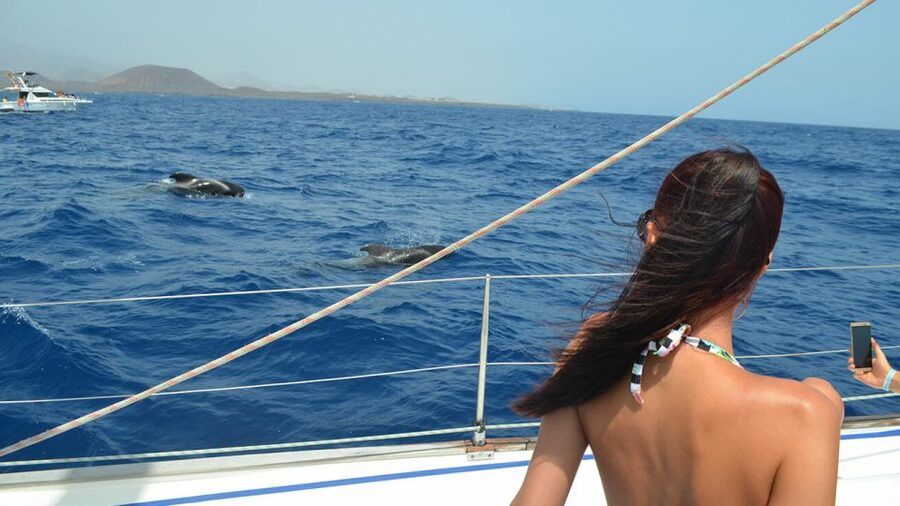 From Los Gigantes: Whale Watching Sailboat Cruise - Who this cruise suits best