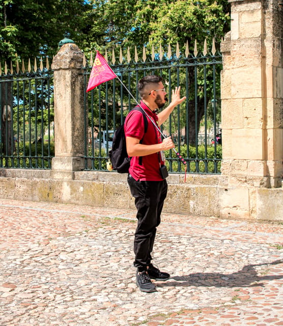 From Madrid: Ávila and Segovia Guided Day Trip - How much free time you get in Ávila and Segovia