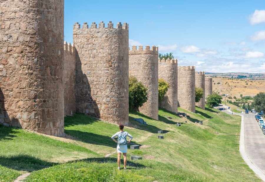 From Madrid: Day Trip to Ávila and Salamanca w/ Guided Tour - Salamanca’s Plaza Mayor and Cathedral, the two anchors of the day