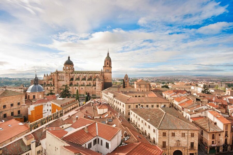 From Madrid: Day Trip to Ávila and Salamanca w/ Guided Tour - Included value: transport, guide time, and when cathedral tickets matter
