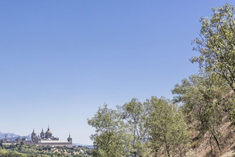 From Madrid: Escorial Monastery & Valley of the Fallen Trip - Who should book, and who should rethink it