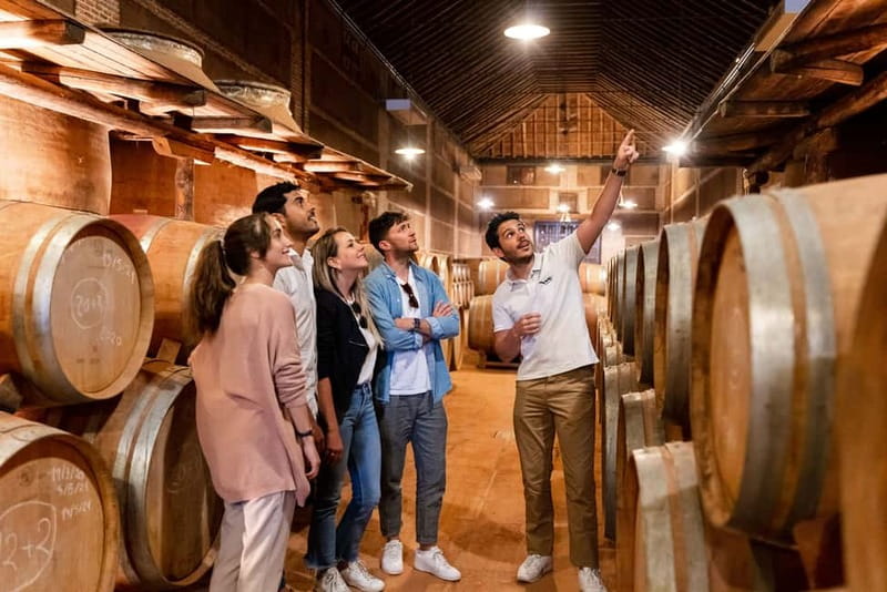 From Madrid: Toledo City Tour and Wine Tasting Experience - Toledo walking tour: Jewish Quarter first, then the big sights