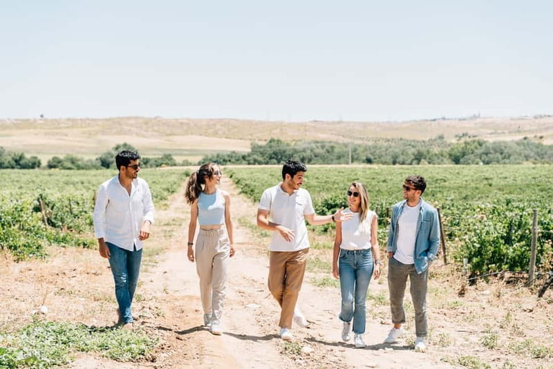 From Madrid: Toledo City Tour and Wine Tasting Experience - Free time in Toledo: how to spend your 105 minutes well