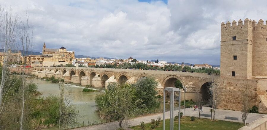 From Malaga and Costa Del Sol: Cordoba Day Trip - From Plaza de la Corredera to the Jewish Quarter: your 5 hours to roam