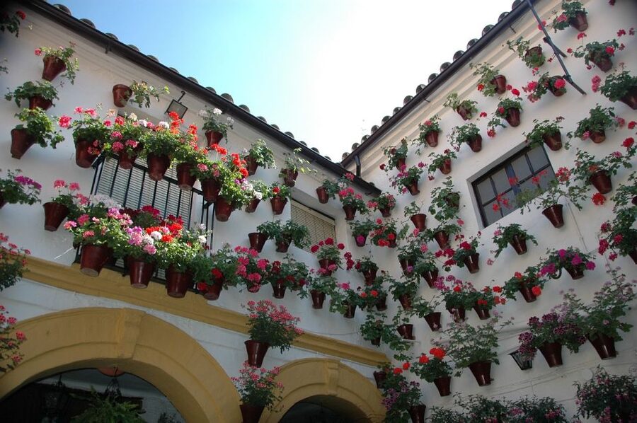 From Malaga and Costa Del Sol: Cordoba Day Trip - Calleja de las Flores and the Cordoba Synagogue stop you can savor