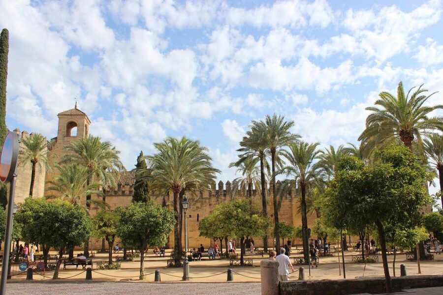 From Malaga and Costa Del Sol: Cordoba Day Trip - Food in Córdoba without turning it into a food tour