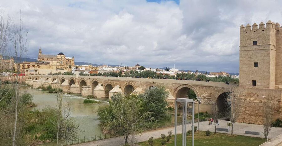 From Malaga and Costa Del Sol: Cordoba Day Trip - Coach ride, pickup points, and how the guide sets the tone