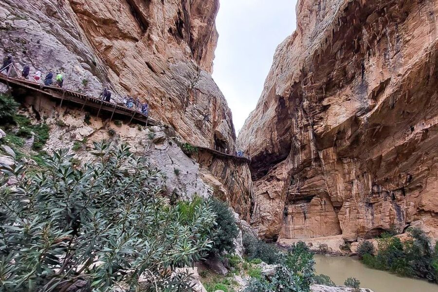 From Málaga: Caminito del Rey Guided Day Trip - Key highlights you should care about