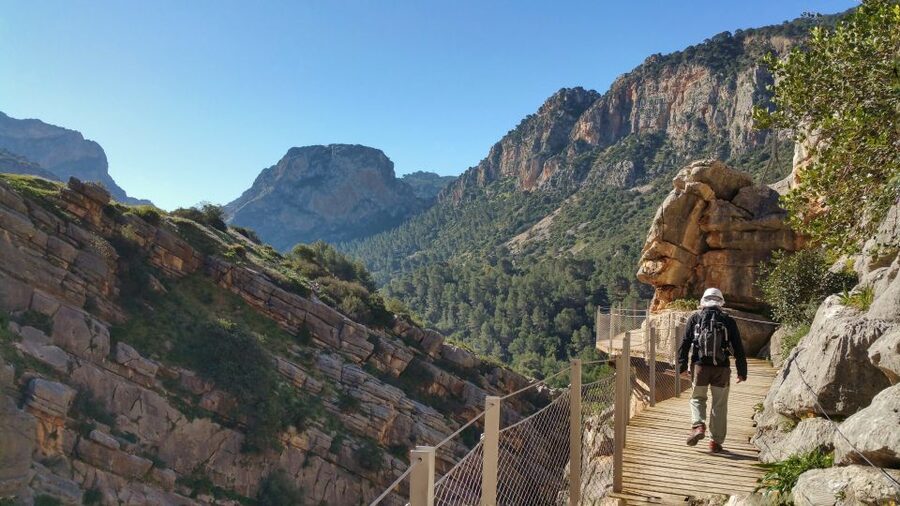 From Málaga: Caminito del Rey Small-Group Tour with Picnic - Price and Value: What You’re Paying For at $105