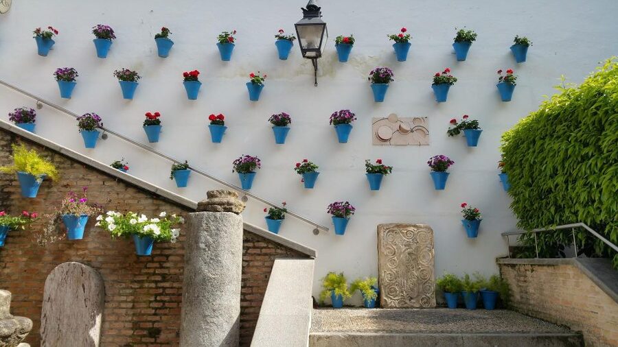 From Malaga: Cordoba Day Trip and Mosque-Cathedral - Key takeaways before you go