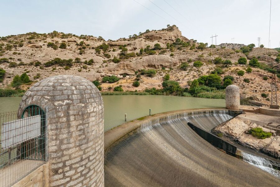 From Málaga & Costa del Sol: Caminito del Rey Guided Tour - What you notice with a guide: history, flora, and the little details