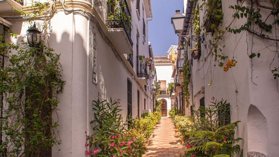 From Malaga or Costa del Sol: Mijas, Marbella & Puerto Banus - Puerto Banús: the luxury marina stop, supercars optional for photos