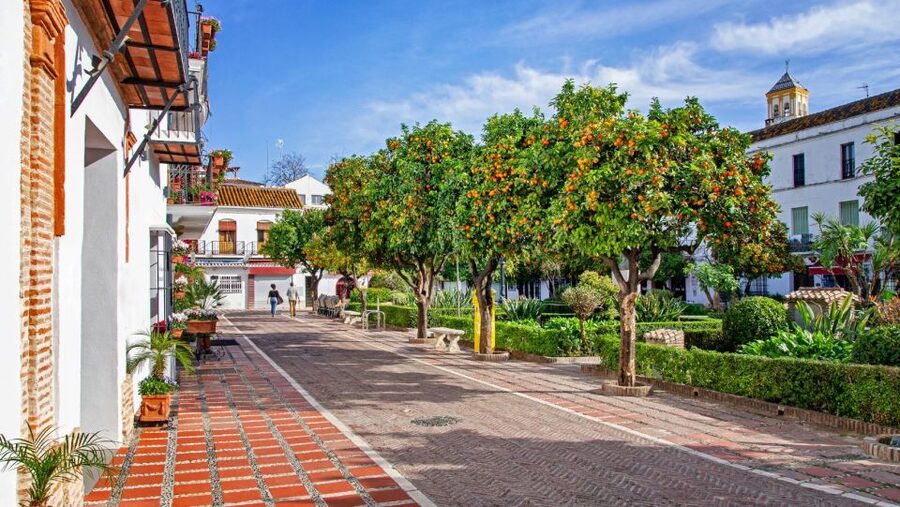 From Malaga or Costa del Sol: Mijas, Marbella & Puerto Banus - Price and value around $45 per person, and what you still need to budget