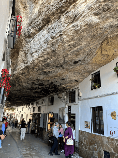 From Malaga: Ronda and Setenil de las Bodegas Day Trip - Who should book this trip, and who might not