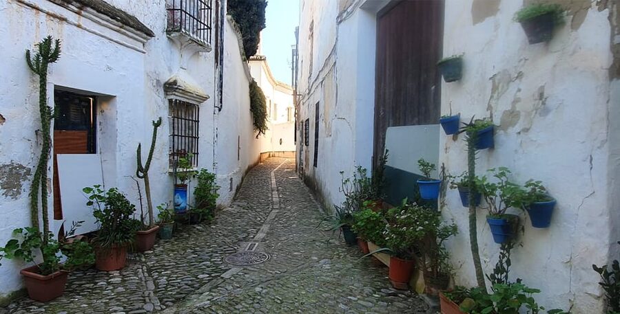 From Malaga: Ronda and Setenil Tour with Scenic Train - Ronda on foot: Puente Nuevo and the canyon views you came for