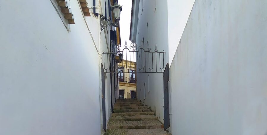 From Malaga: Ronda and Setenil Tour with Scenic Train - Free time in Ronda: lunch timing and photo strategy