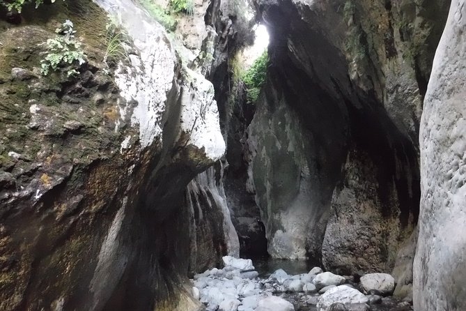 From Marbella: Canyoning Tour in Guadalmina Canyon - Getting ready: fitness, swimming comfort, and footwear