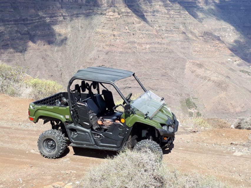From Maspalomas: Volcanic Landscapes 4-Seater Buggy Tour - What “volcanic and tropical trails” means once you are moving