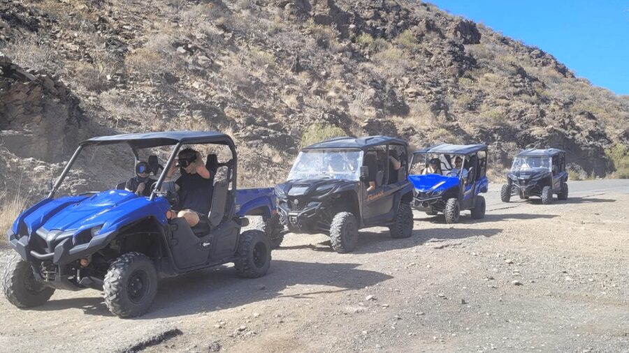 From Maspalomas: Volcanic Landscapes 4-Seater Buggy Tour - Groups, families, and the reality of sharing one buggy