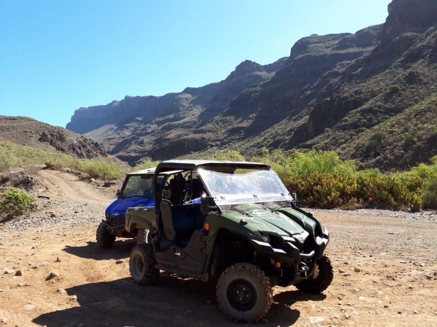 From Maspalomas: Volcanic Landscapes 4-Seater Buggy Tour - Price value: what you are really paying for at about $177 per group