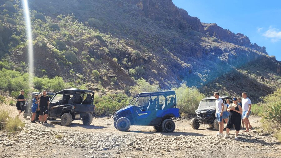 From Maspalomas: Volcanic Landscapes 4-Seater Buggy Tour - Included and not included, so there are no surprise costs