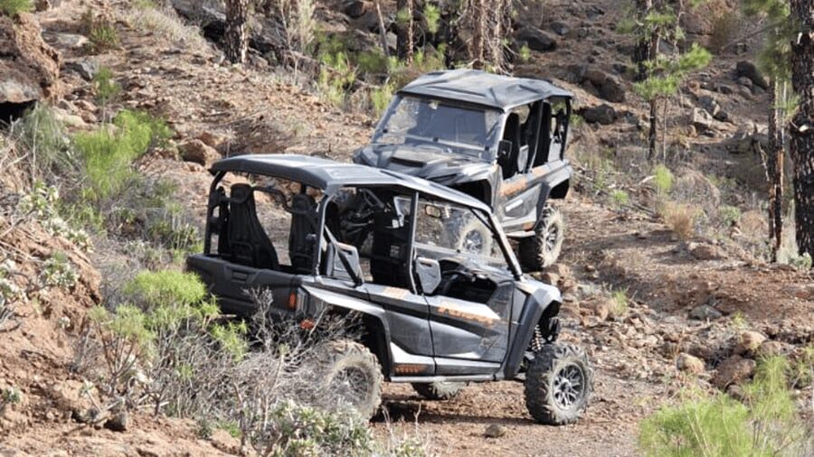 From Maspalomas: Volcanic Landscapes 4-Seater Buggy Tour - Yamaha Wolverine basics: the ride feels rugged, but the buggy is the real star